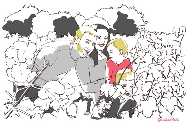 illustration famille dans les vignes